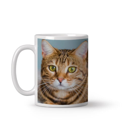 Mug personnalisé - Photo panoramique