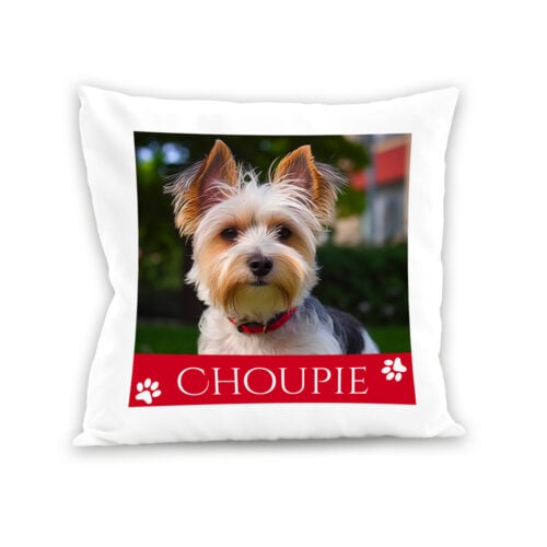 Coussin blanc - Photo de votre animal