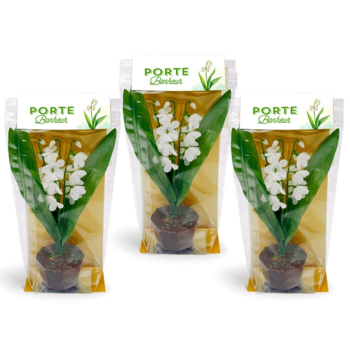 Lot de 3 Pots de Muguet en Chocolat