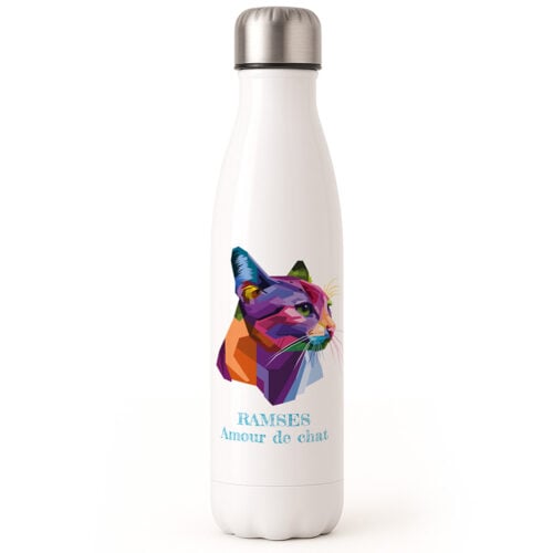 Bouteille isotherme - Chat coloré <br> <strong>  500 ml </strong>