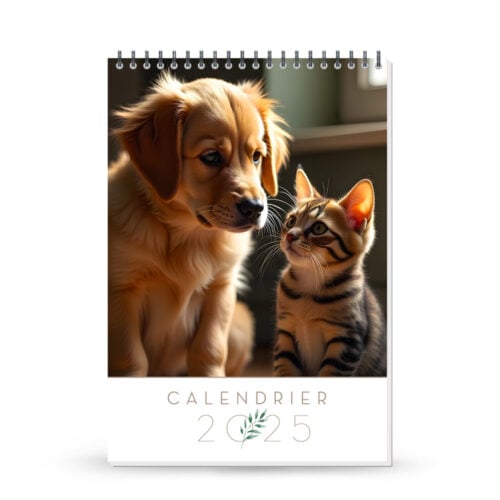 Calendrier mural format A4 - 13 pages avec reliure