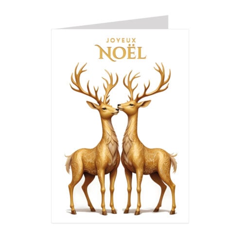 Lot de 5 cartes de Noël personnalisées - Enveloppes offertes
