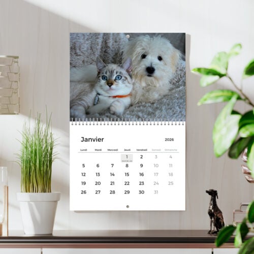 Calendrier mural A4 Paysage  - Calendrier photo 13 pages recto verso avec reliure – Image 2
