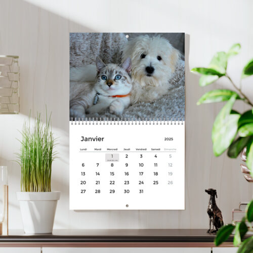 Calendrier mural A4 Paysage  - Calendrier photo 13 pages recto verso avec reliure – Image 2