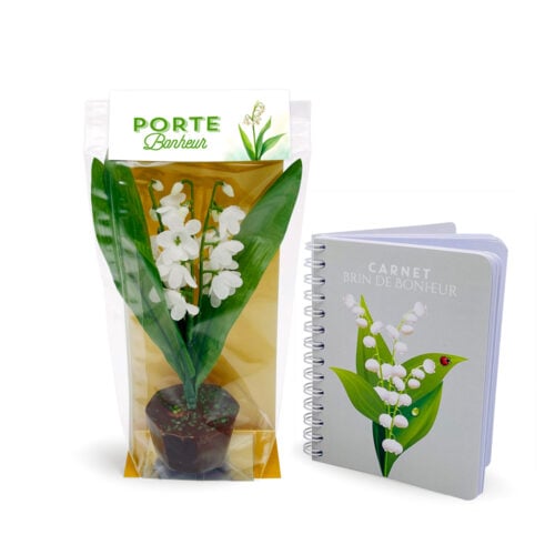 Pot de Muguet en chocolat avec carnet "Brin de bonheur"